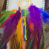 Lyza - Rainbow Feather Earrings