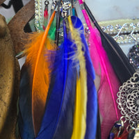 Nadine - Rainbow Feather Earrings