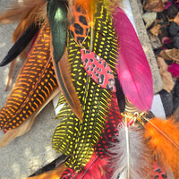 Dawn - Animal Print Red Feather Earrings